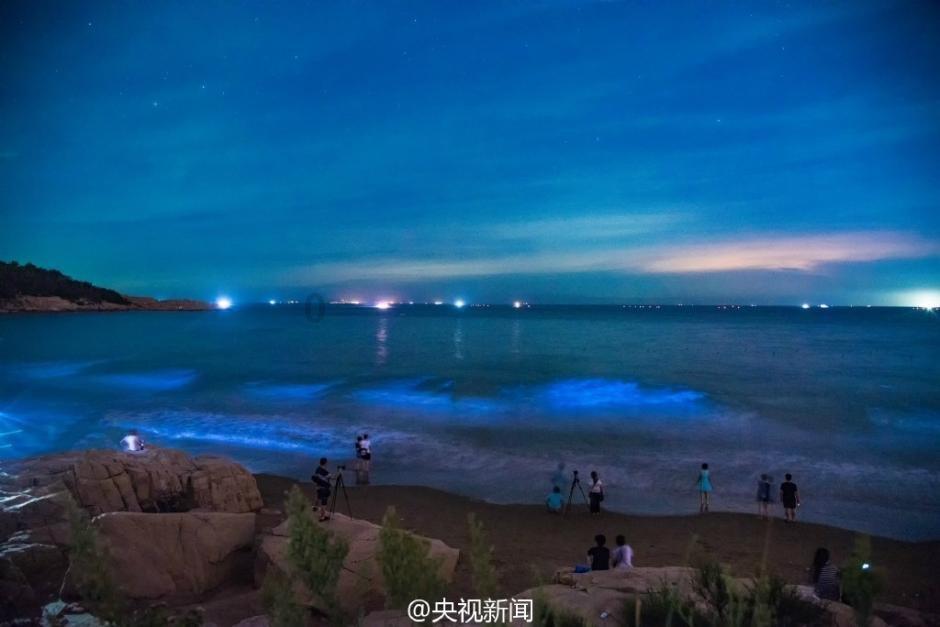 逃离马儿森林
