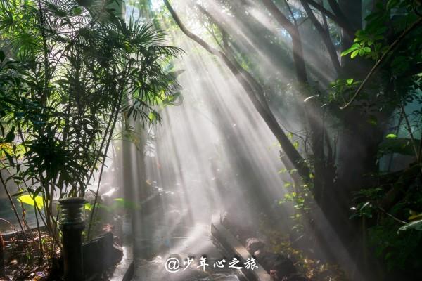 绯雨骑士团